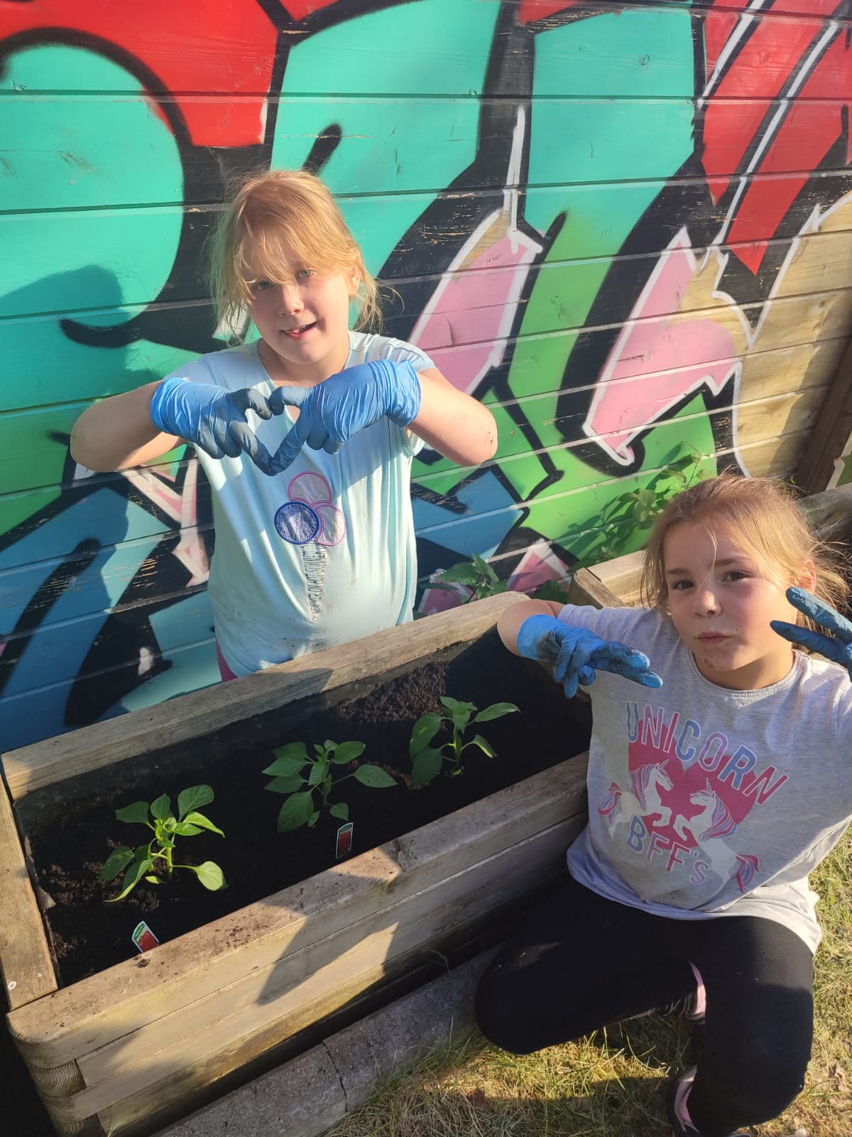 IMG 20250519 WA00021